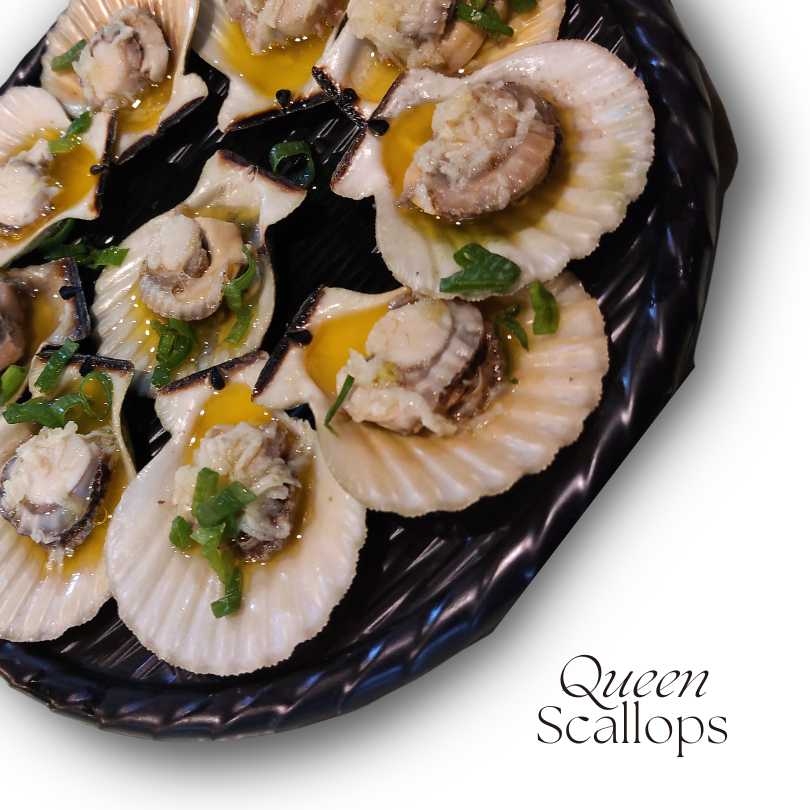 Queen Scallops 1 Queen Scallops from LArry's Sarapoi