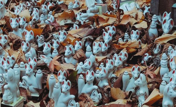 Things to Do in Kamakura: A Choose-Your-Own Adventure Day Trip Foxes on Sasuke Inari Shrine 4 Foxes on Sasuke Inari Shrine