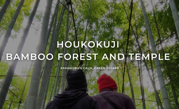 Houkokuji Bamboo Forest and Temple Kamakura’s Calm, Green Escape