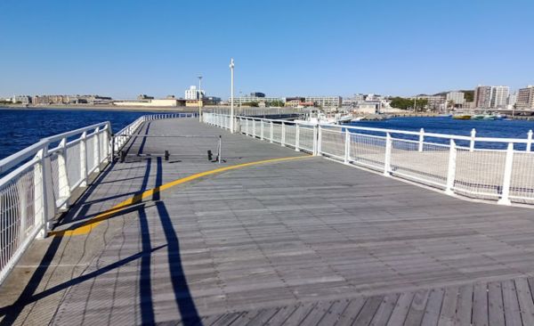 article image of All the 11 Shooting Locations of "Can This Love Be Translated" in Enoshima and Kamakura, Japan (Updated)